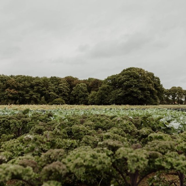 Afhaalpunt De Kijfelaar - Unik Antwerpen