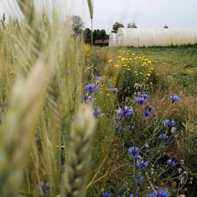 Afhaalpunt De Kijfelaar - Natuurhuis Herentals
