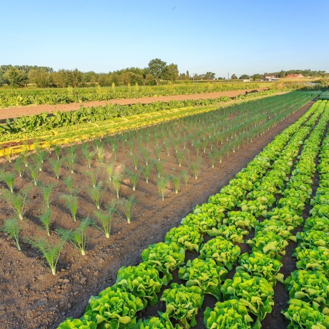 Afhaalpunt De Biohoeve - Hoeven