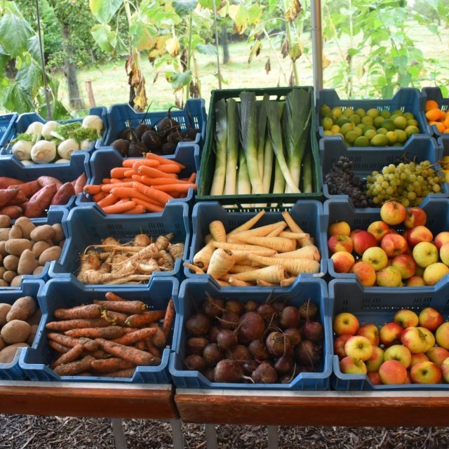 Afhaalpunt Ourobouros - Oudenaarde