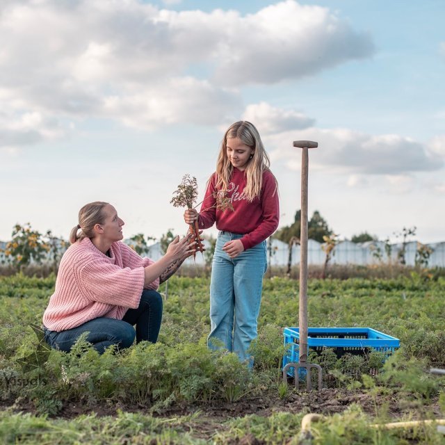 Rawijs - CSA-boerderij