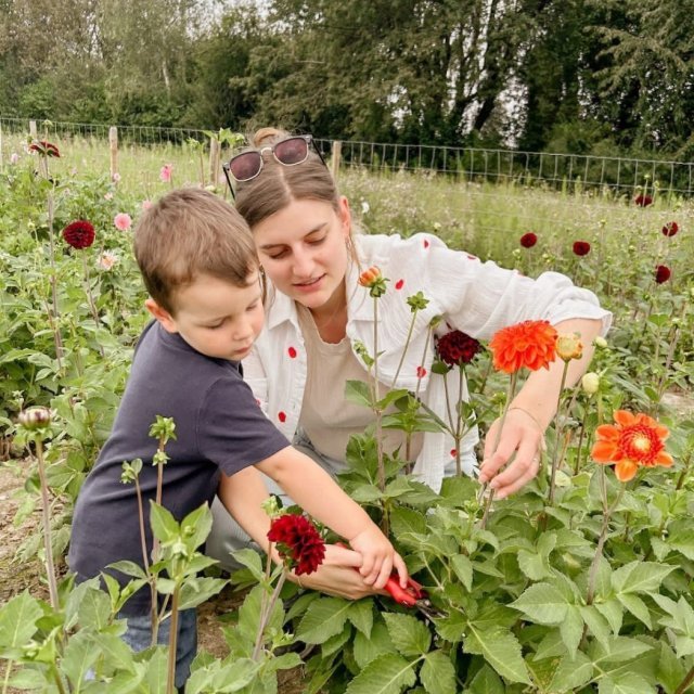 Bloemen Van Praet plukweide