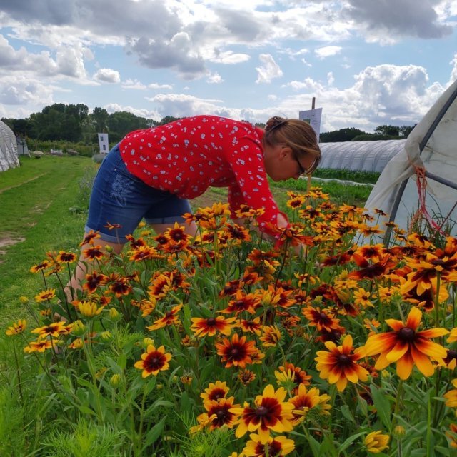 Fleurig bij Hoeve het Blokhuis