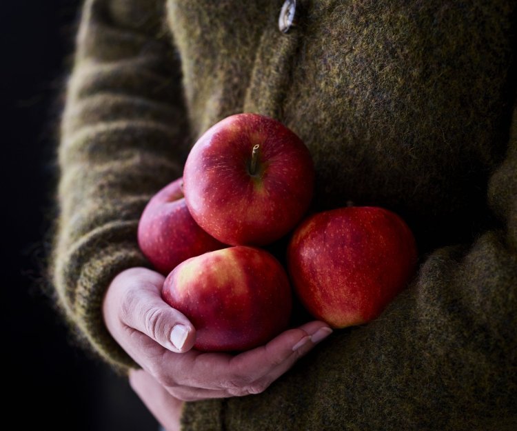 Vrouw houdt 4 appels vast tegen haar midden. Net zo zorgzaam als een kind dat ze zou dragen. 