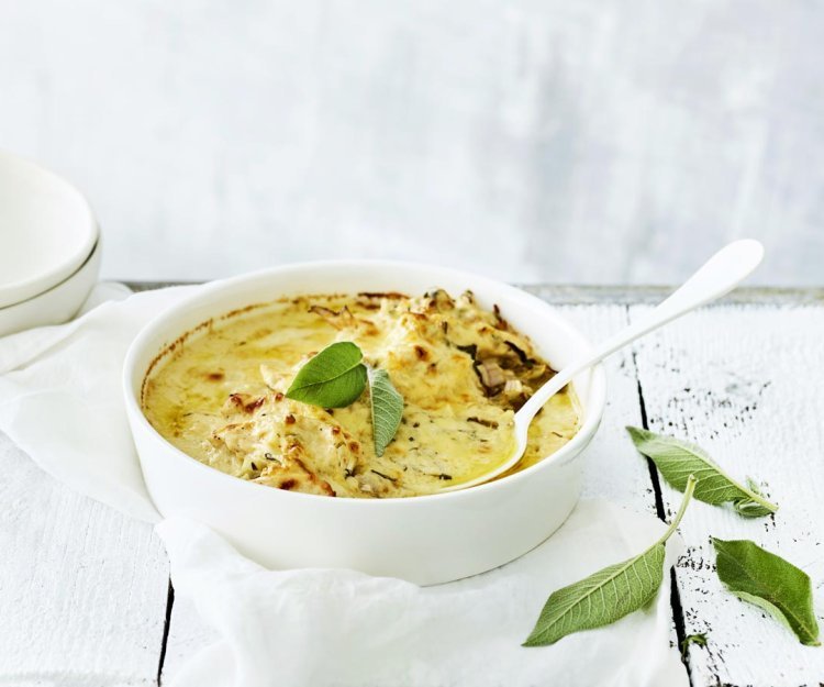 Witloof met kip en kaas uit de oven Witloof met kip en kaas uit de oven