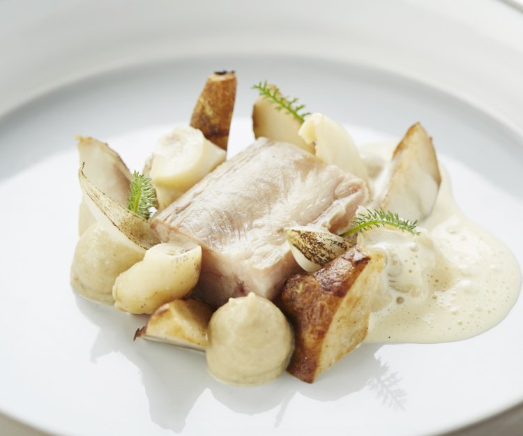 Hondshaai met aardpeer, wulken en Vermouth Hondshaai met aardpeer, wulken en Vermouth