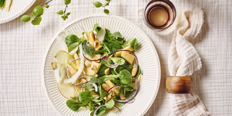 Een mooi wit bordje gevuld met een groene salade, gecombineerd met appel, venkel en oude kaas. Klaar om aan tafel te gaan. 