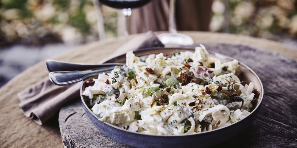 Salade van witloof, appel, selder en rozijnen Een witloofsalade met yoghurtdressing, selder, rozijnen, appel en gember. Echt eentje om duimen en vingers van af te likken. De salade is geserveerd in een groot diep bord en staat op een boomstronkschijf.