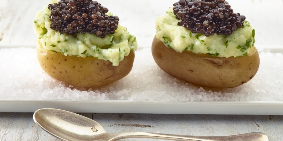 Aardappel 'Moscovite' Aardappel 'Moscovite'