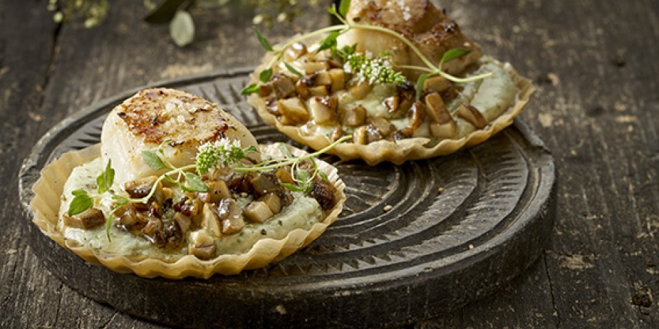 Filodeegtaartje met knolselderpuree en Sint-Jakobsvruchten Filodeegtaartje met knolselderpuree en Sint-Jakobsvruchten