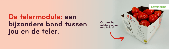 Hoogstraten Aardbeien