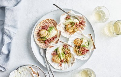 Sint-jakobsvruchten op een groot bord, opgediend in hun eigen Sint-jakobsschelp met bloemkoolmousse, witloof en spekjes. Glaasjes wijn en bestek ligt mee naast het bord, klaar om het feestmaal aan te vallen.