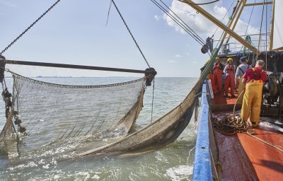 Vissersboot met boomkor