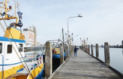 Boten in de vissershaven