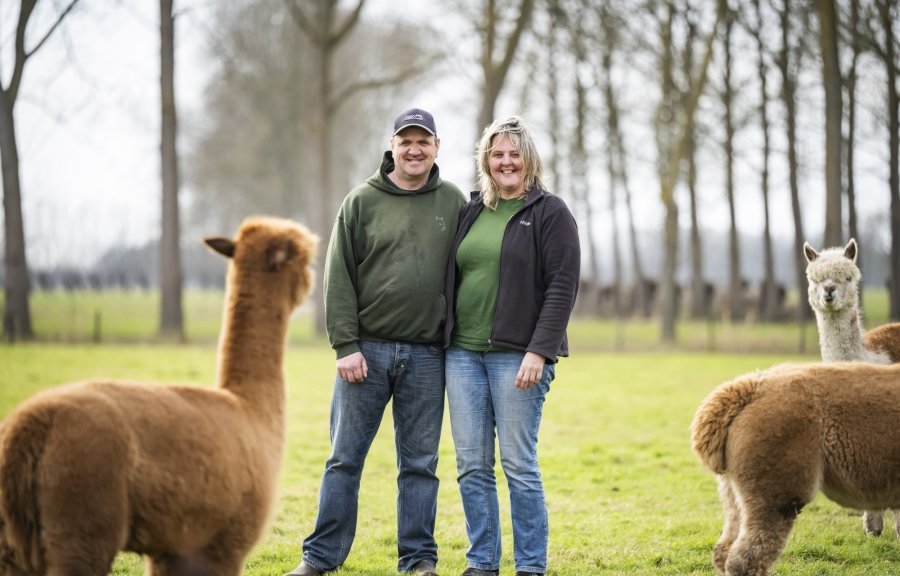 AlpacaLokeren