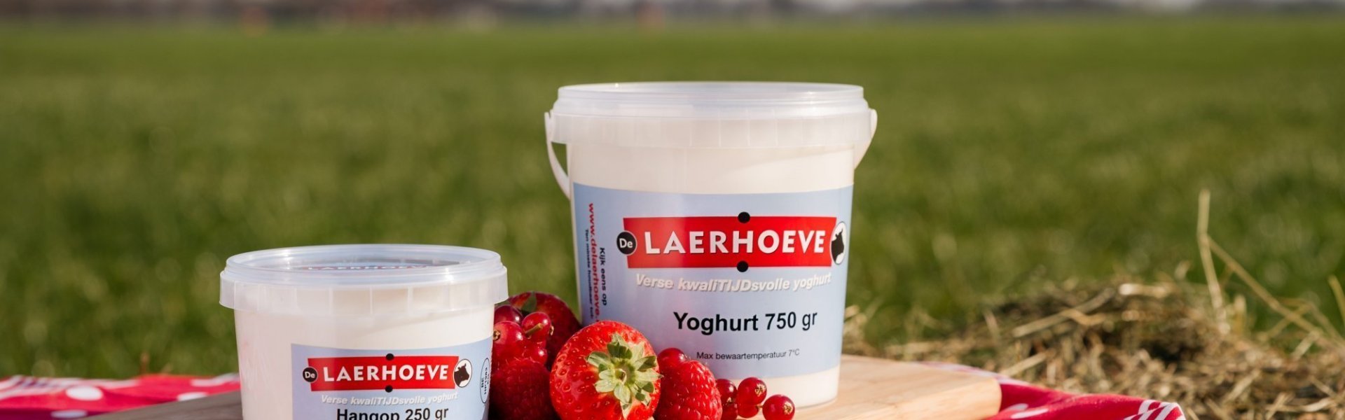 Yoghurt van De Laerhoeve