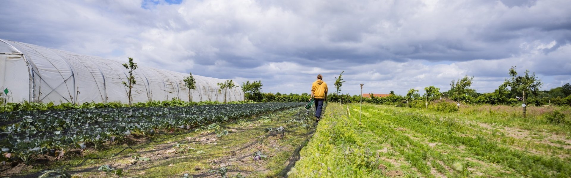 Vlinderveld CSA Vlinderveld CSA