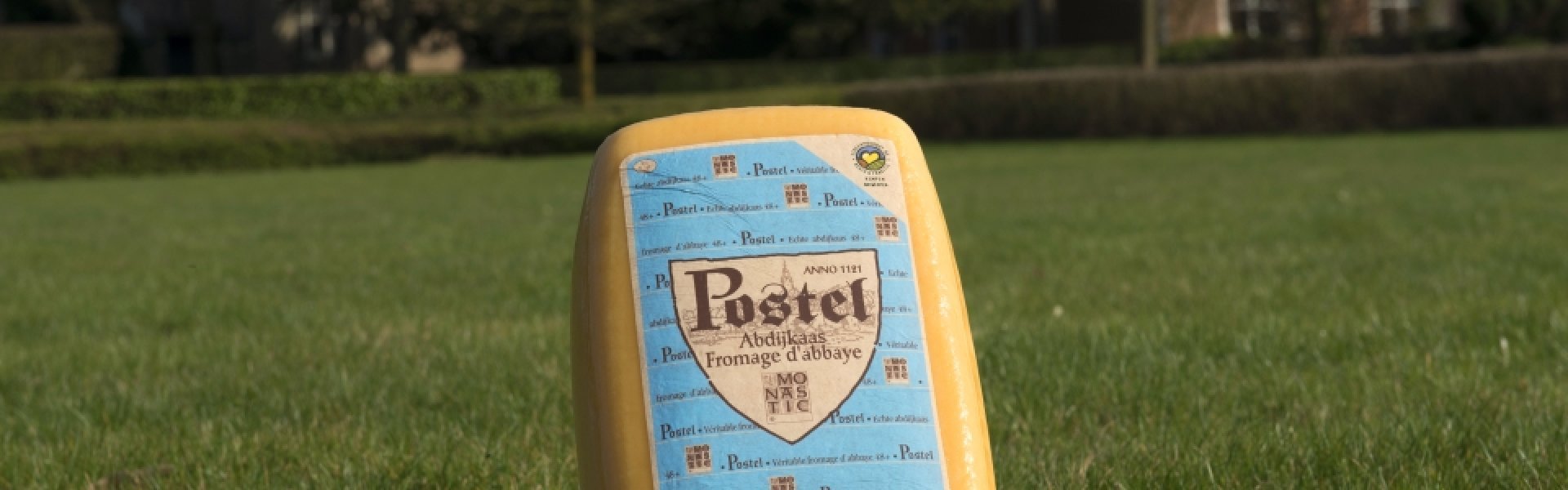 Postel Abdijkaas Postel Abdijkaas