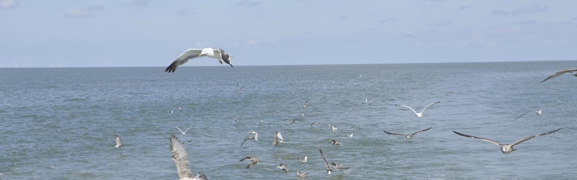 Noordzee