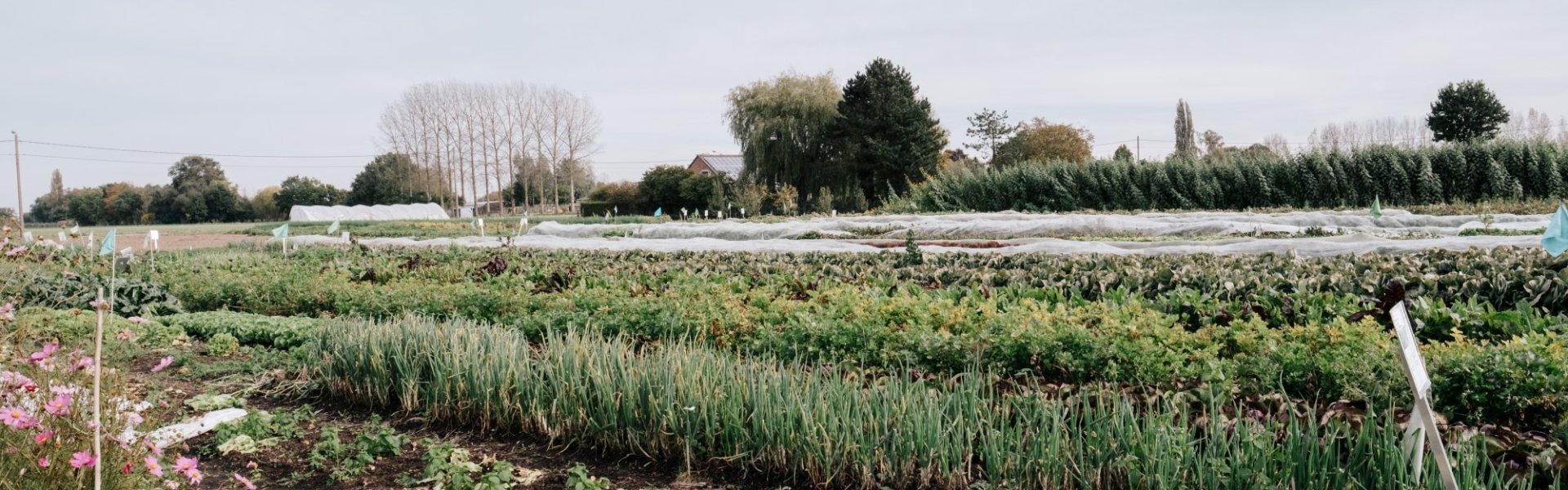 Op het veld van CSA Het Blokhuis Op het veld van CSA Het Blokhuis