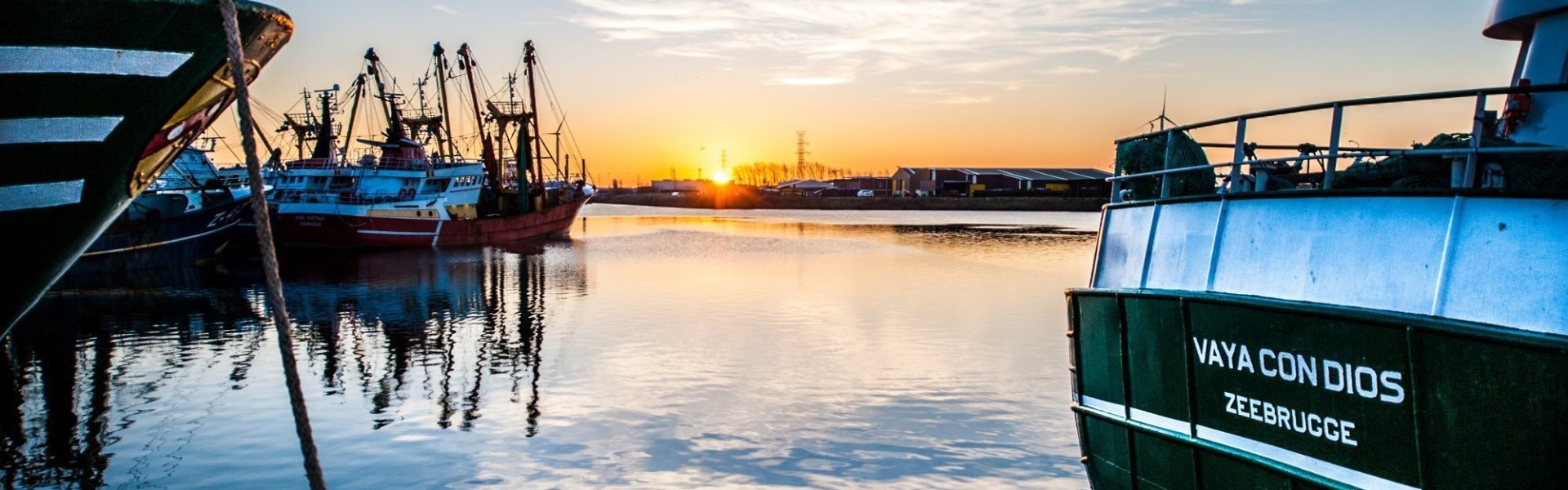 Vissersboot in haven Haven in Zeebrugge met zonsopgang. Verschillende visserboten in de haven tijdens het blauwe uur en stralende zon.