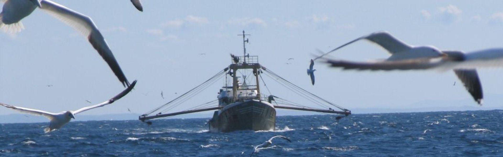 Vissersboot met boomkor Vissersboot met boomkor